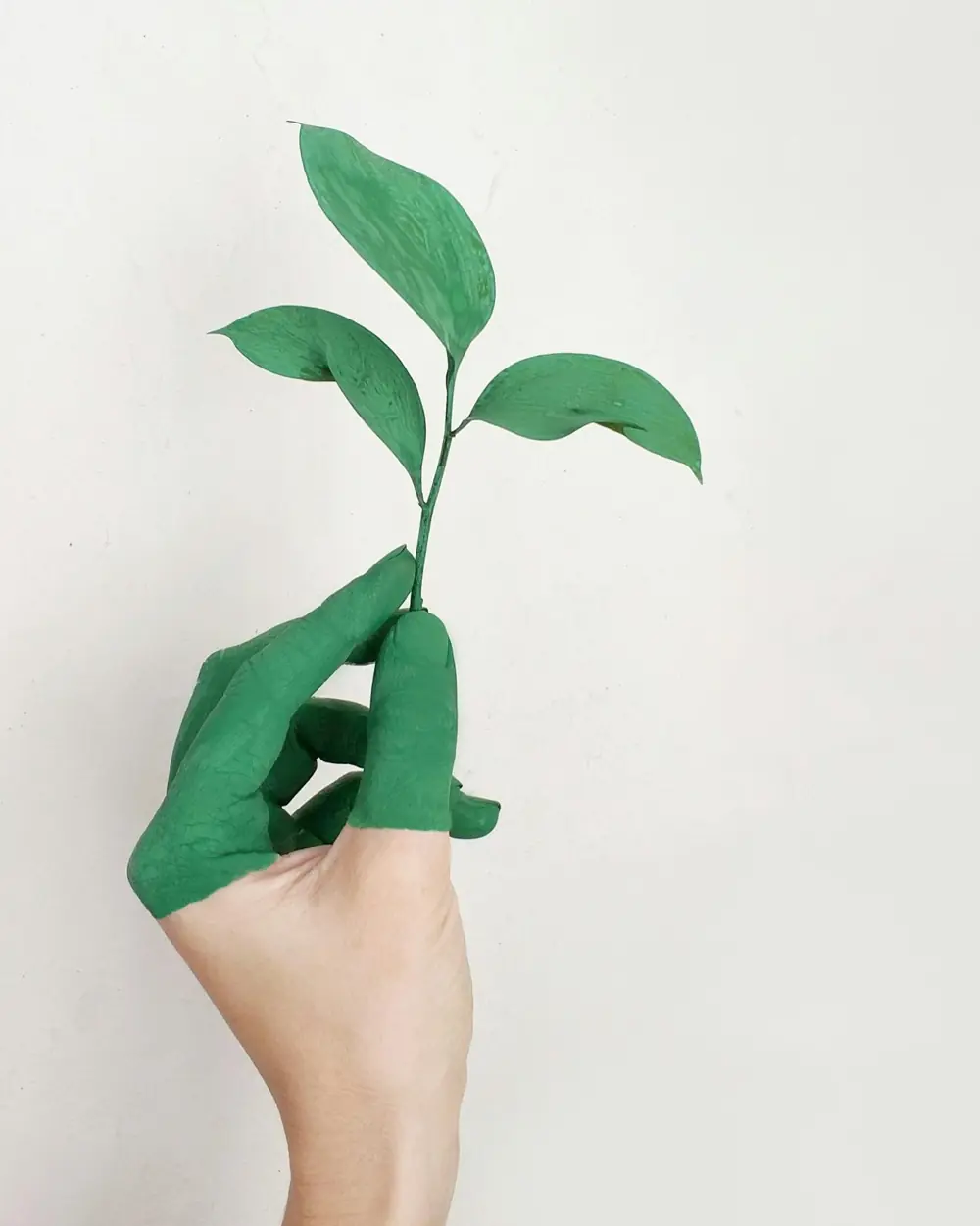 Mână ținând o plantă verde
